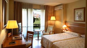 Sancho Ramirez hotel,
Pamplona, Spain.
The photo picture quality can be
variable. We apologize if the
quality is of an unacceptable
level.