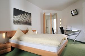 Hotel Balegra hotel,
Basel, Switzerland.
The photo picture quality can be
variable. We apologize if the
quality is of an unacceptable
level.